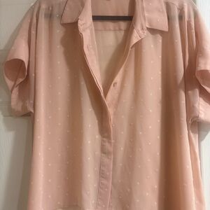 DR2 Light Pink Button Down Sheer Blouse
